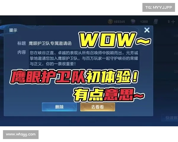 加入王者荣耀鹰眼护卫队的条件和要求是什么