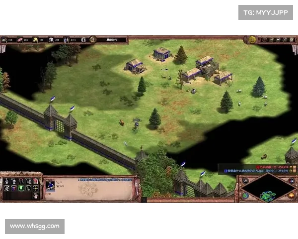 提升帝国时代战略技巧的有效方法与实战经验分享