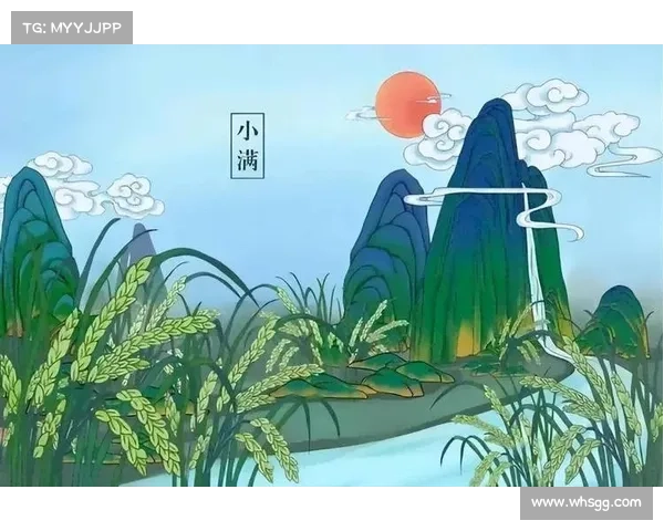 小满节气下的乡村生活五个温馨和谐瞬间展现自然与人文之美