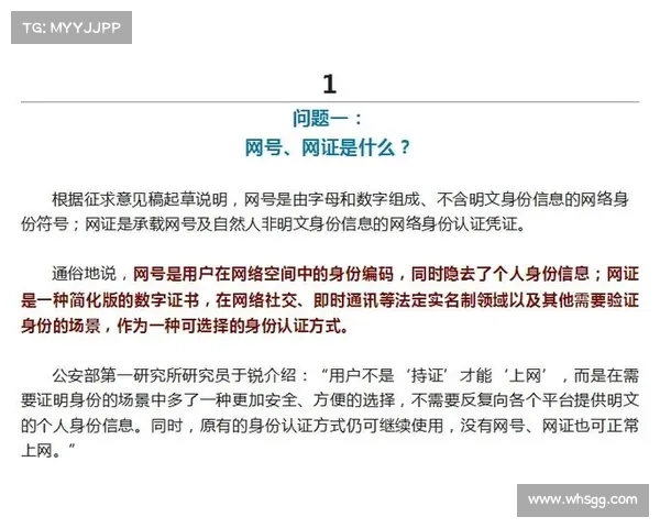 无意义网站对网络文化的影响与网络互动模式的变革探索