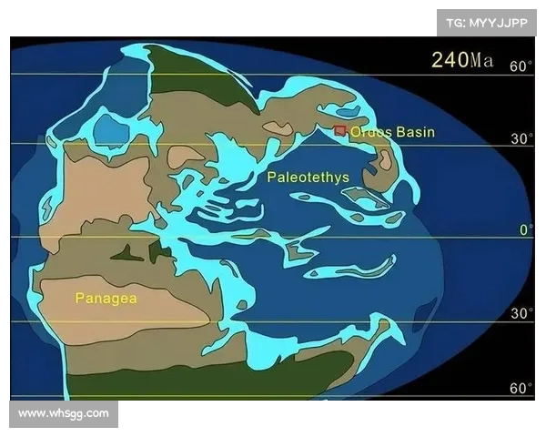 揭秘东超背后的深层含义与历史渊源，你必须了解的关键事实